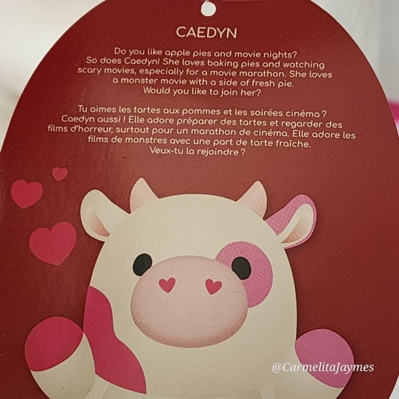 ❤️ CAEDYN 🐄 Pink Valentines Cow Heart Nose Hugmee Squishmallow Kellytoy NWT - Picture 9 of 9